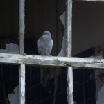 Canalconversion-36