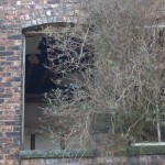Canalconversion-38