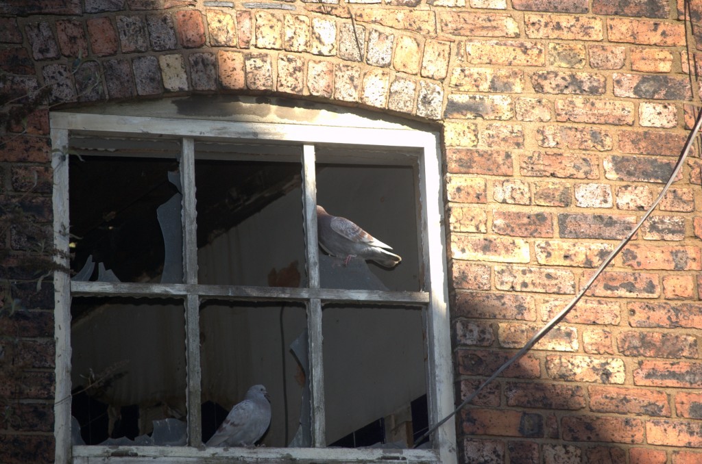 Canalconversion-39