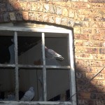 Canalconversion-39
