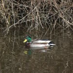 Canalconversion-62