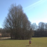Canalconversion-74