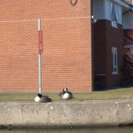 Canalconversion-76