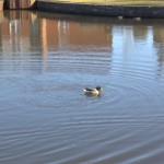 Canalconversion-84