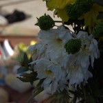 Tributes.NEF-12