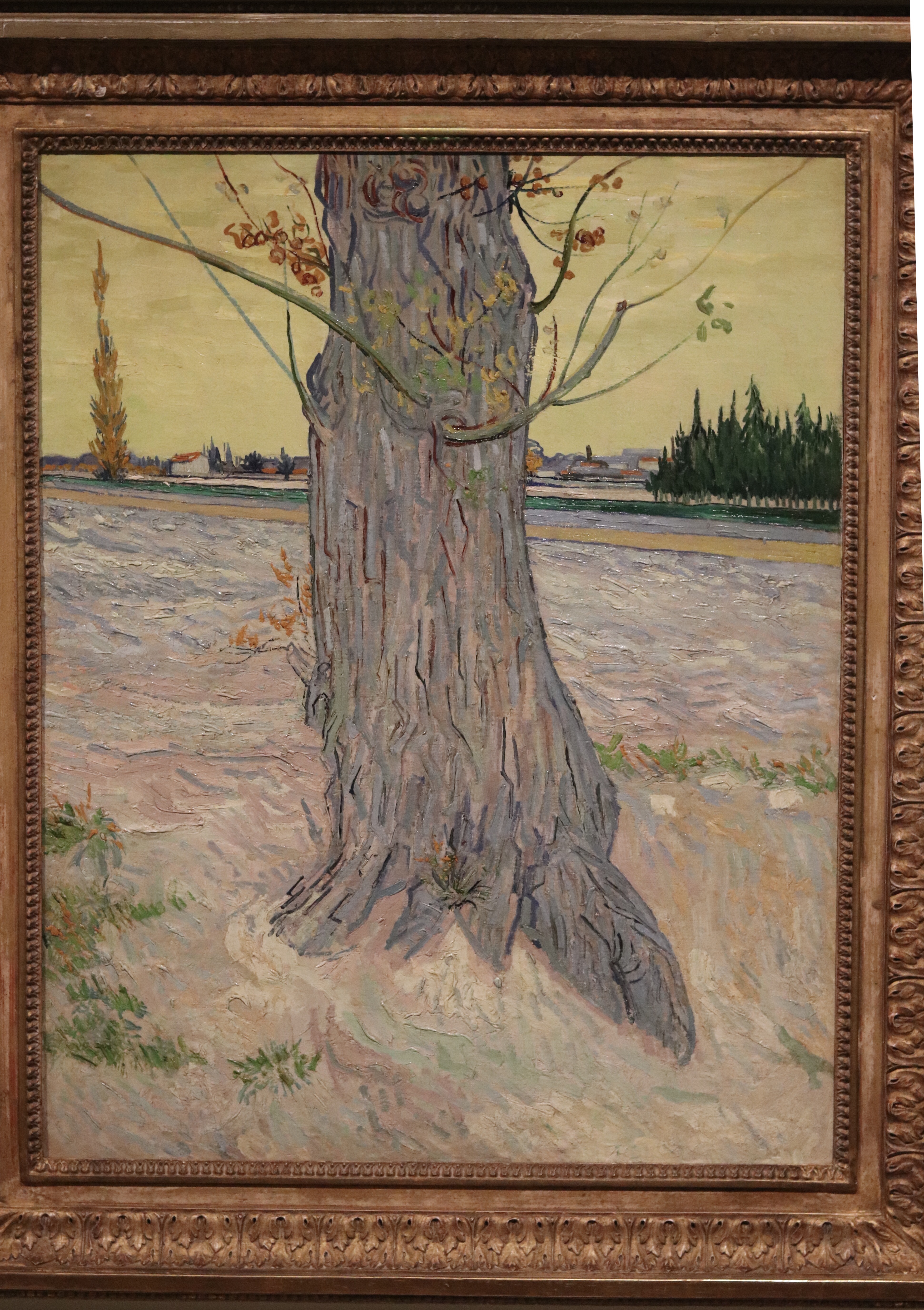 ‘Trunk of an Old Yew Tree’, Vincent van Gogh, 1888. Private collection